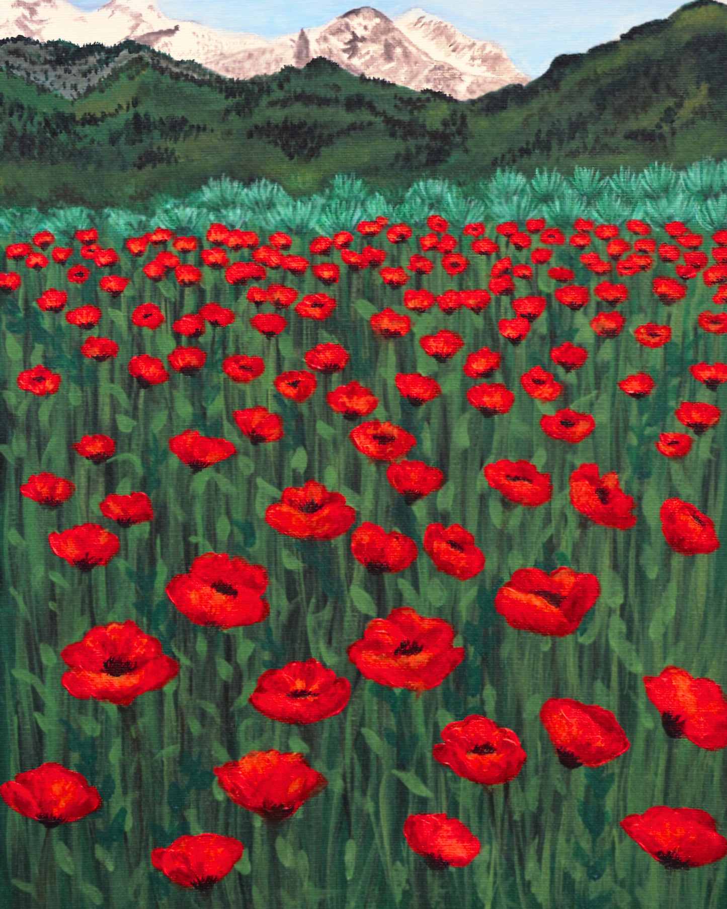 High-Quality Alpine Poppy Fields Art Print