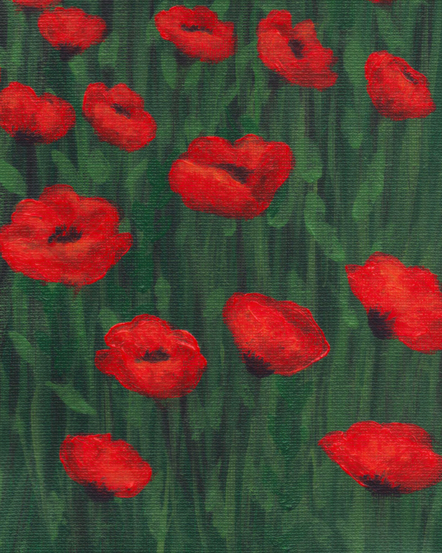 Vibrant Poppy Fields in Alpine Setting Print