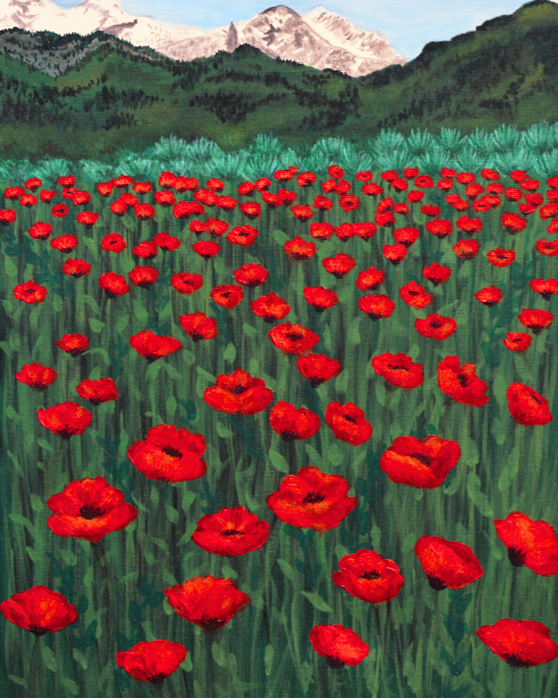 High-Quality Alpine Poppy Fields Art Print
